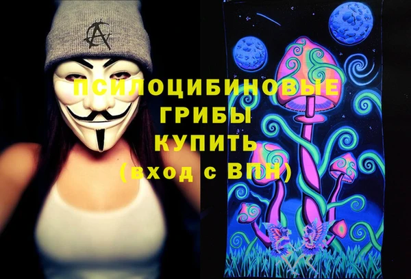 прущая мука Арсеньев